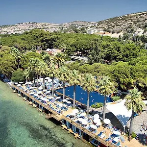 Omer Holiday Kusadası