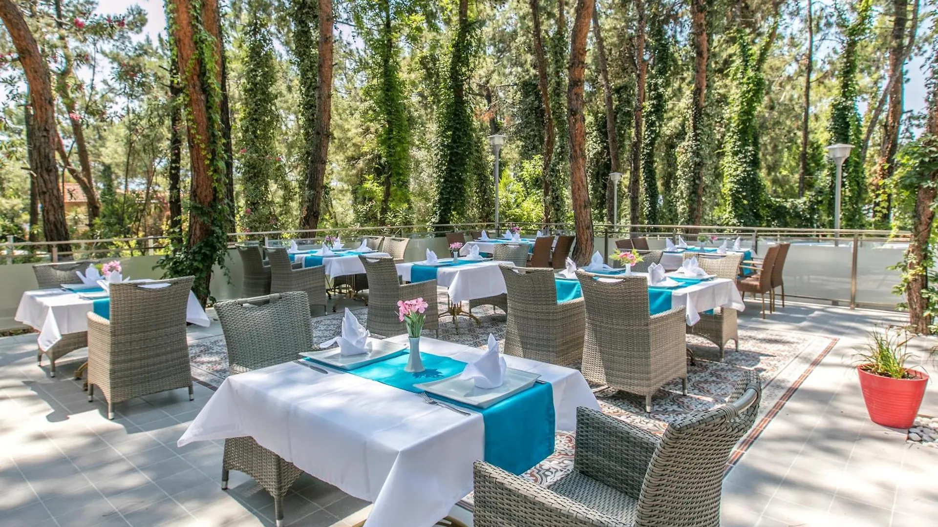 Pine Club Apart Hotel كوشاداسيه