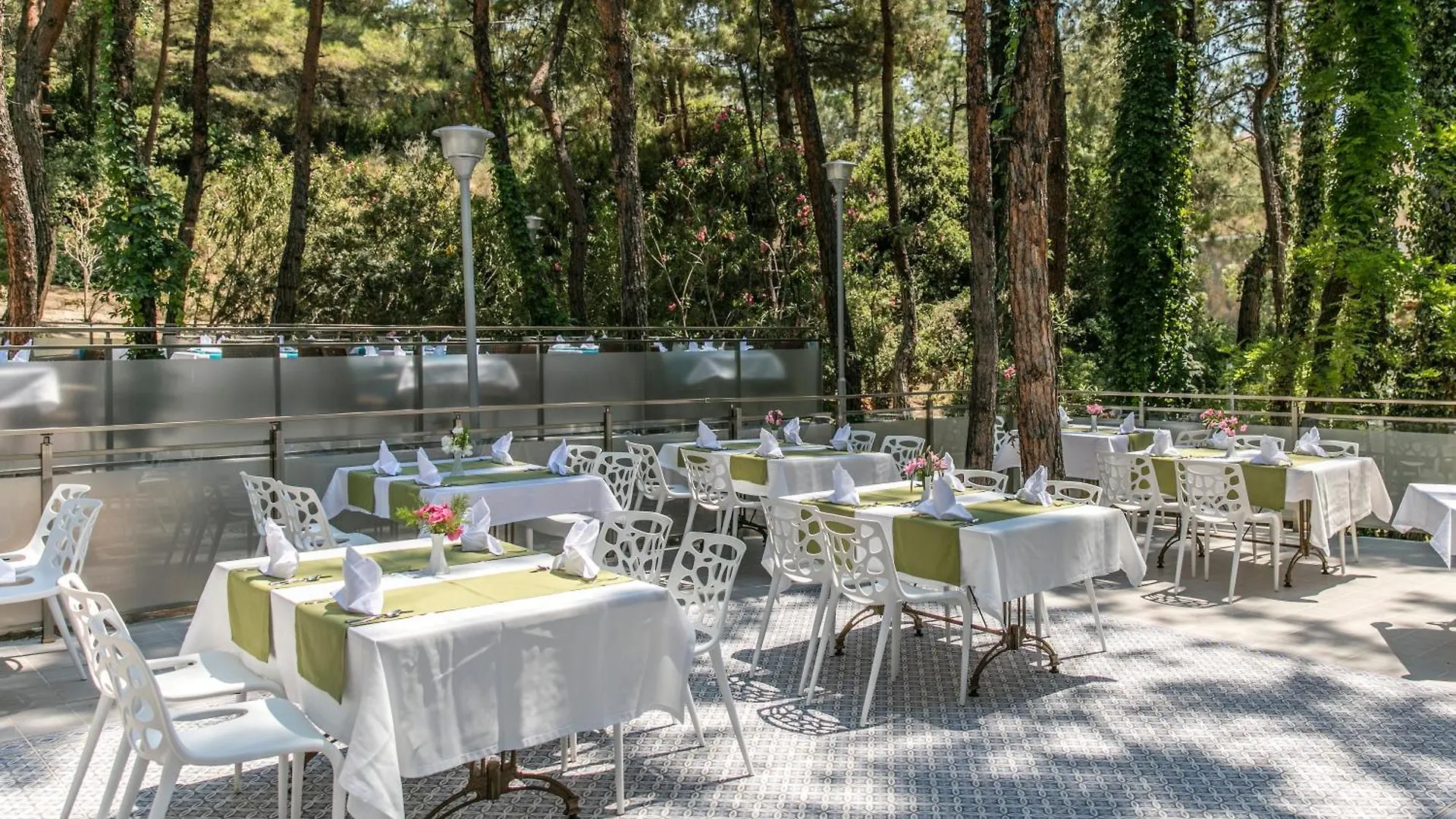 بيت ضيافة Pine Club Apart Hotel كوشاداسيه